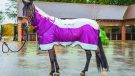 Horseware Rambo Summer Series review