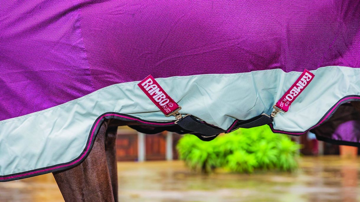Horseware Rambo Summer Series review Horse & Hound