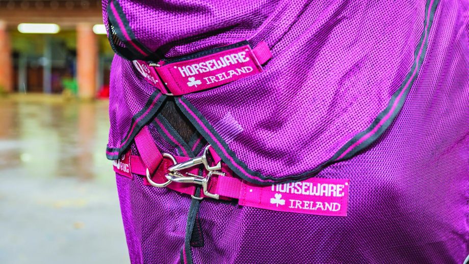 Horseware Rambo Summer Series review