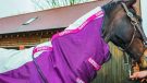 Horseware Rambo Summer Series review