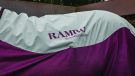 Horseware Rambo Summer Series review
