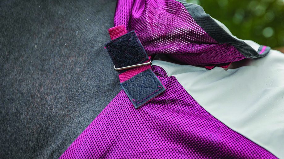 Horseware Rambo Summer Series review