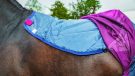 Horseware Rambo Summer Series review