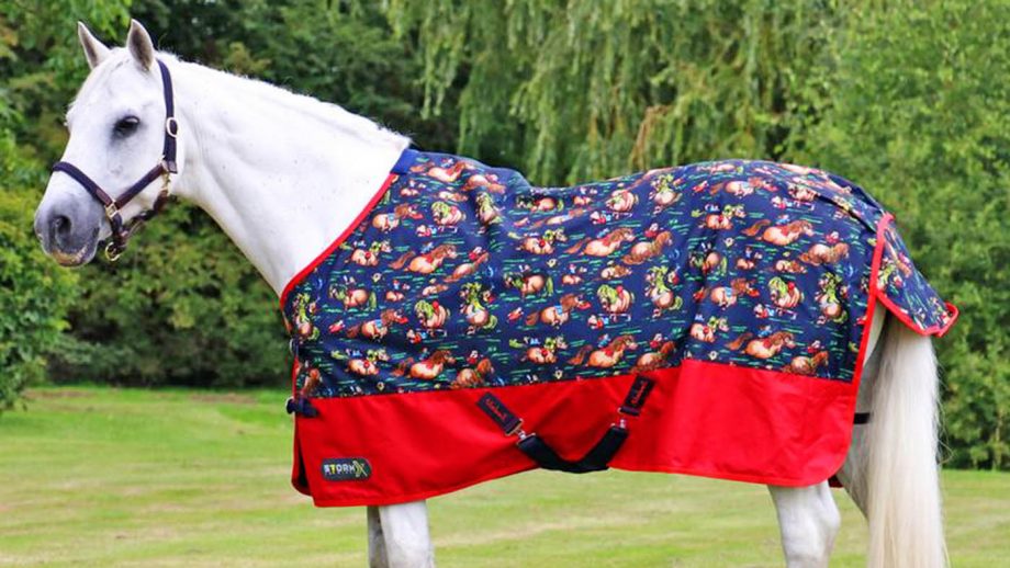 Patterned horse rugs to feast your eyes on Horse & Hound