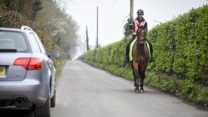 Horse and rider hacking on the road in high viz