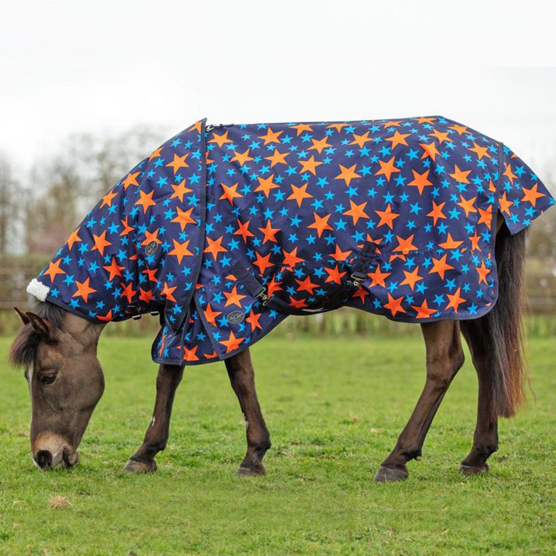 Patterned horse rugs to feast your eyes on Horse & Hound