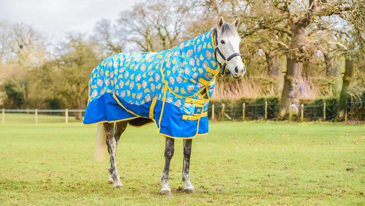 Patterned horse rugs to feast your eyes on Horse & Hound
