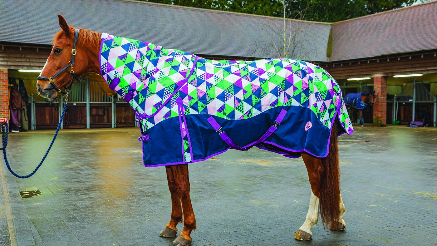 Best lightweight turnout rugs for horses Horse & Hound