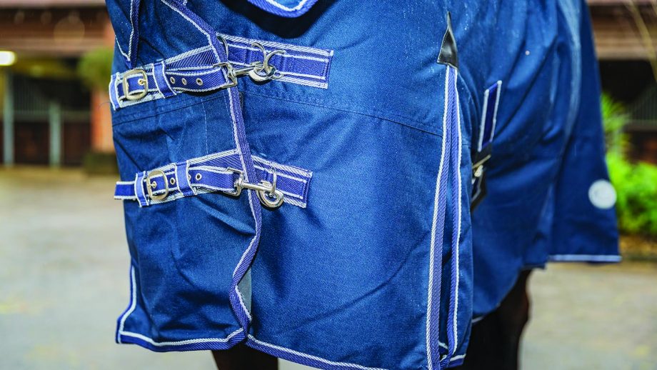 Rhinegold Arizona full neck outdoor rug review