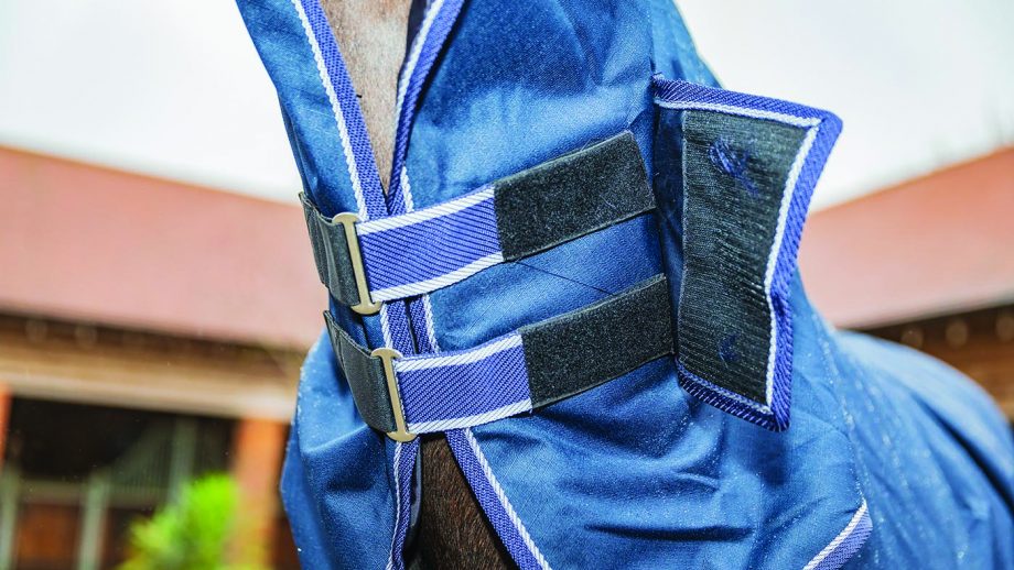 Rhinegold Arizona full neck outdoor rug review