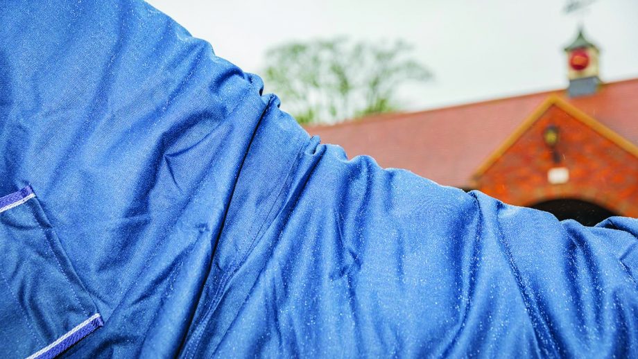 Rhinegold Arizona full neck outdoor rug review