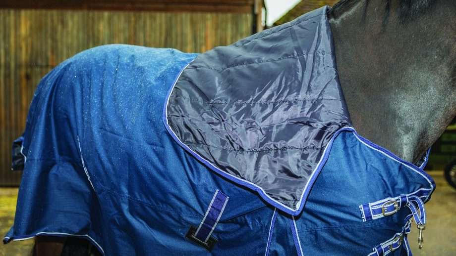 Rhinegold Arizona full neck outdoor rug review