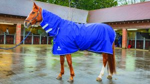 Shires Tempest Original Air Motion Combo review