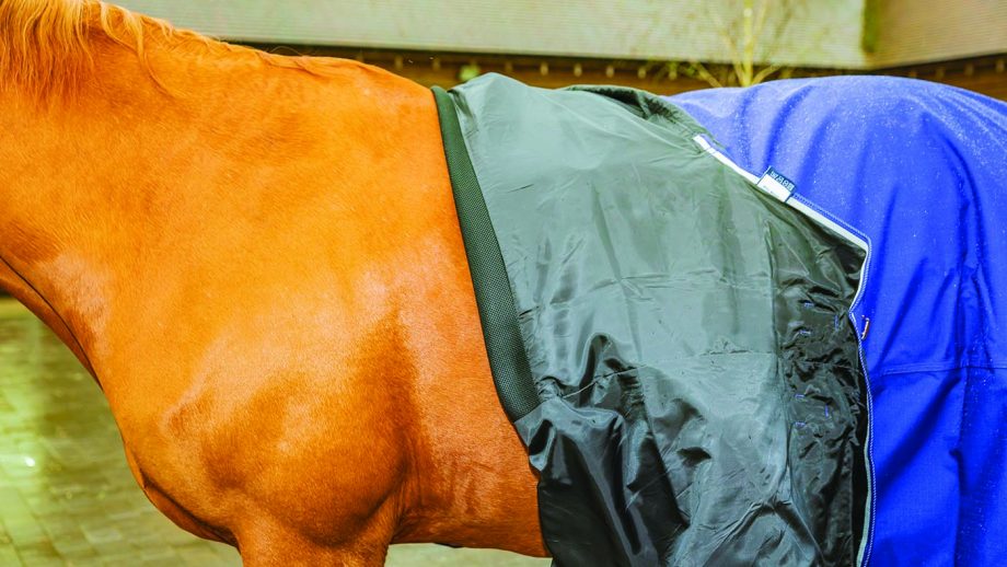 Shires Tempest Original Air Motion Combo review