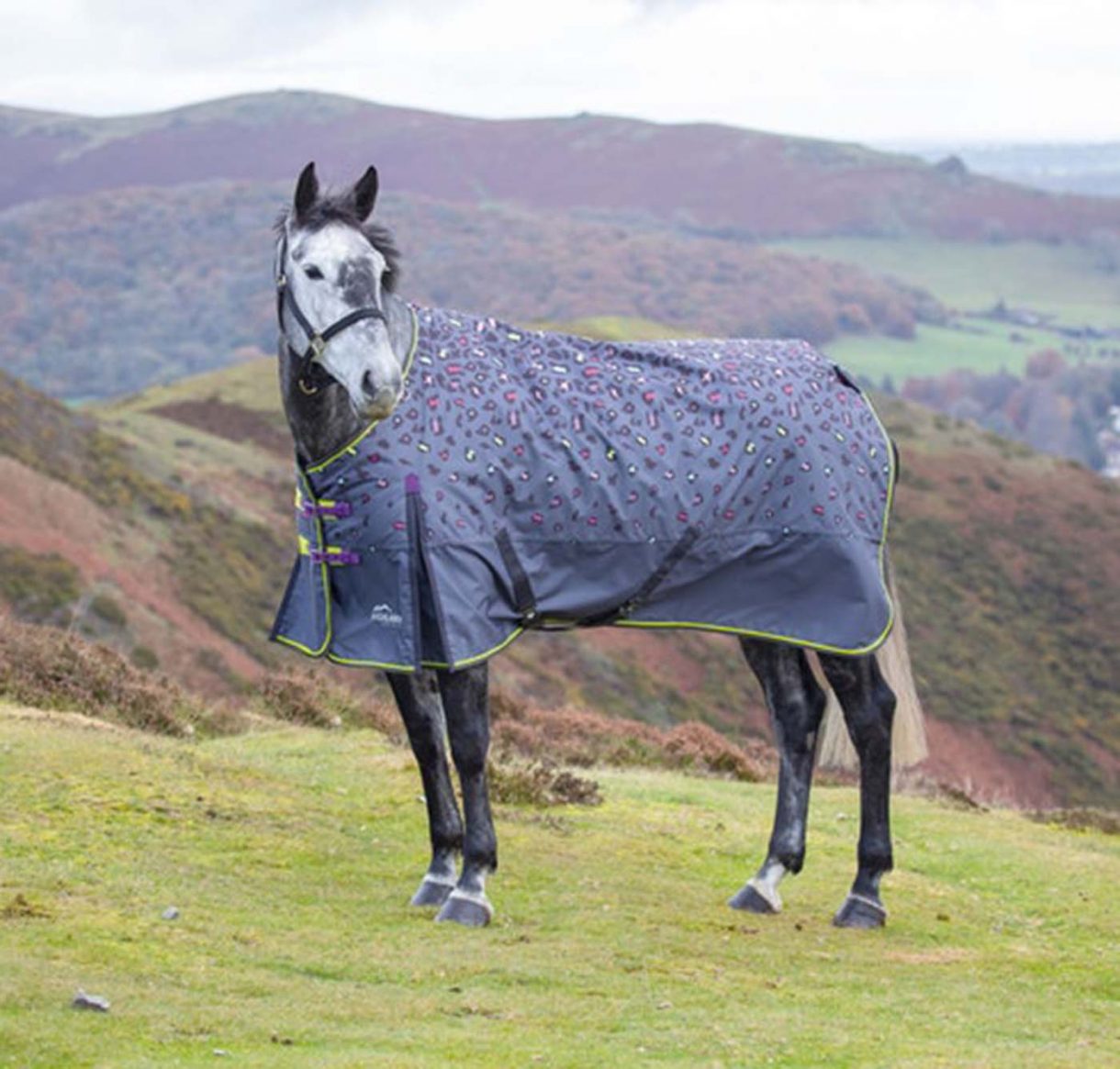 Patterned horse rugs to feast your eyes on Horse & Hound