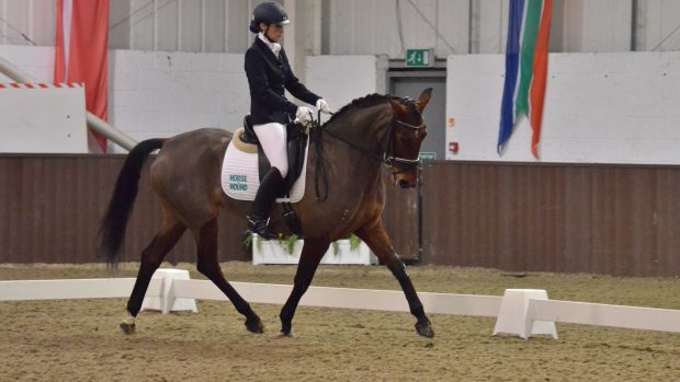 how to get your horse on the bit