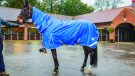 Swish Equestrian lightweight turnout review