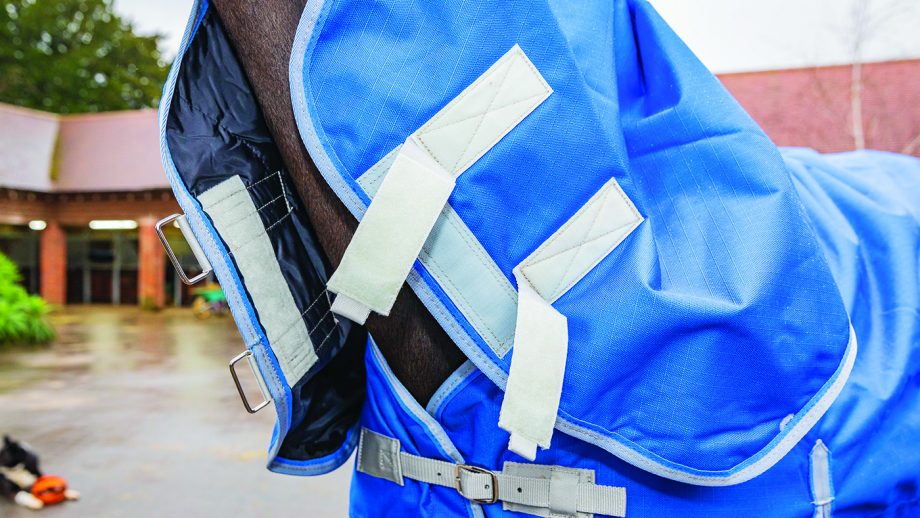 Swish Equestrian lightweight turnout review