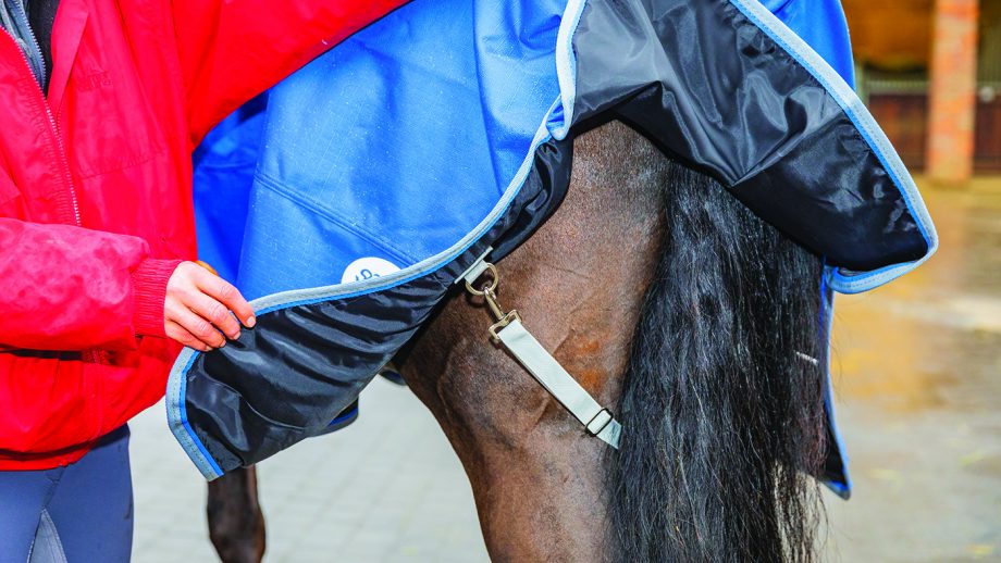 Swish Equestrian lightweight turnout review