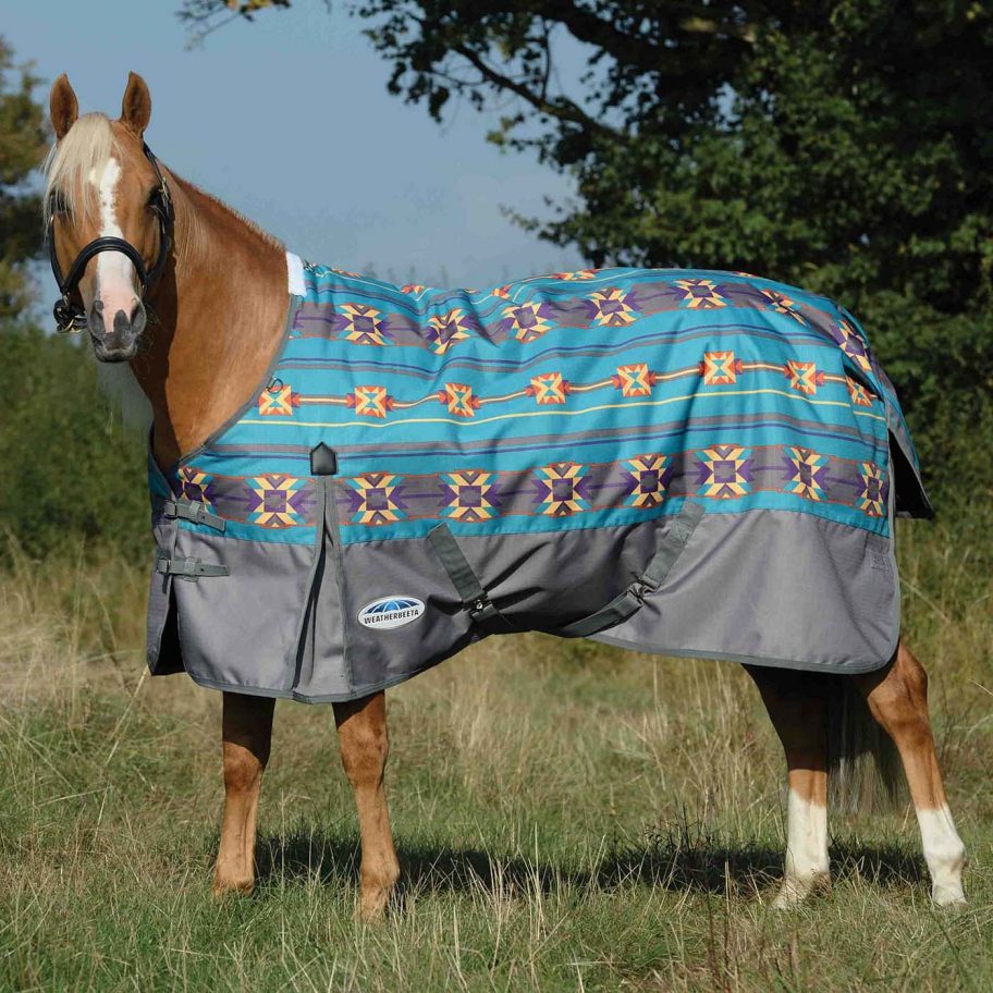Patterned horse rugs to feast your eyes on Horse & Hound