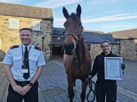 Police horse awarded