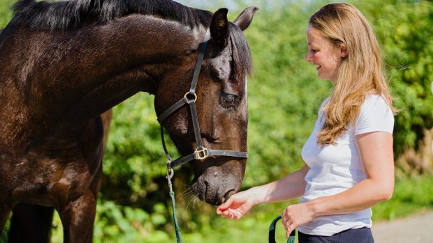 equine therapy mental health