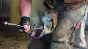 A farrier burning on a horseshoe