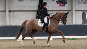 Anna Ross riding Newton Domino at Keysoe.