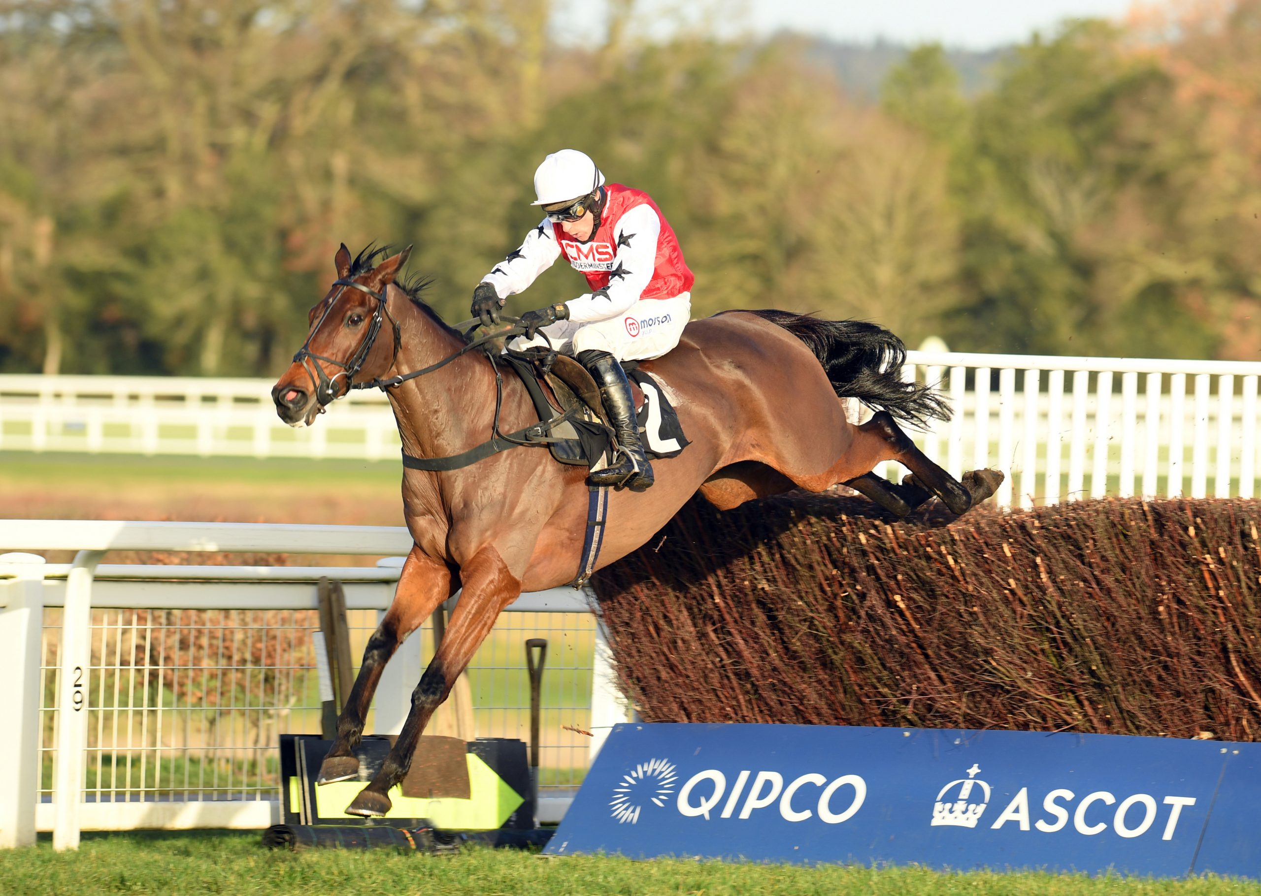 Bennys King and Harry Skelton 1st are clear at two oout pic Bill SElwyn 19-12-20