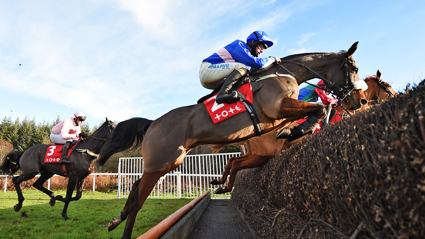 Bold Plan and Sean Bowen at the open ditch on the far side on way to winning 4-12-20