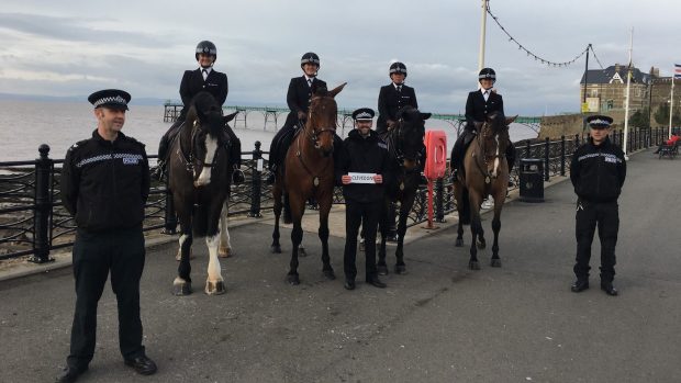 Avon & Somerset Police police horse