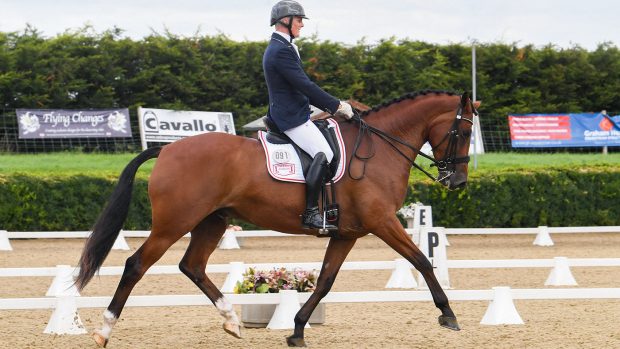 Dan Sherriff - FX Baygordhall Saxby