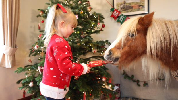 Christmas film Emma Massingale Shetland pony