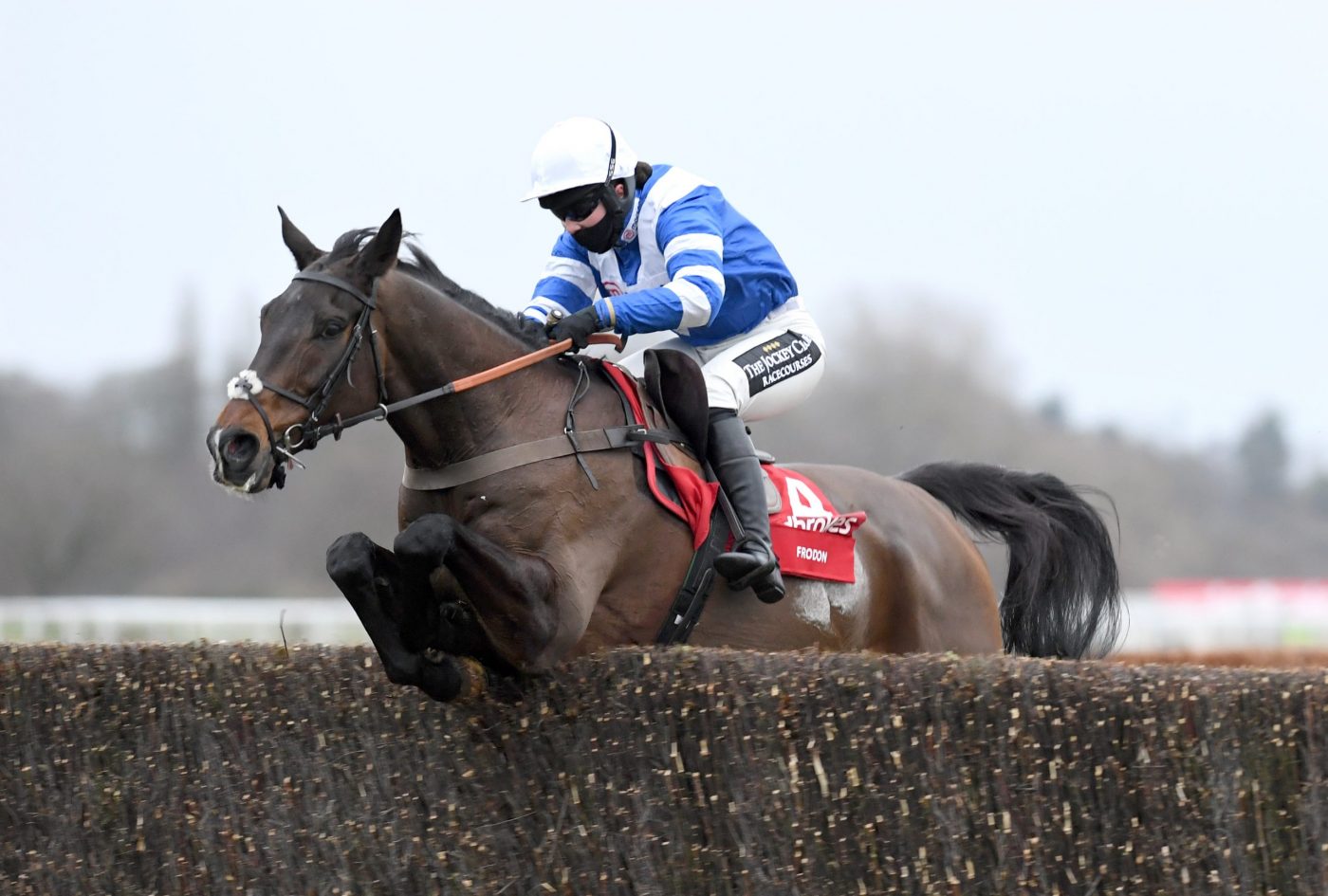 Frodon and Bryony Frost jump the last in front to win 26-12-20