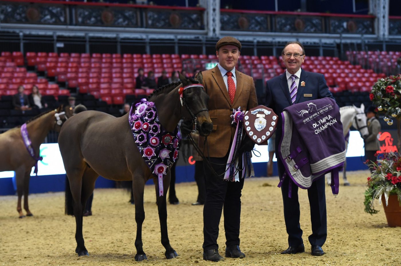 Olympia in-hand veteran champion 2016