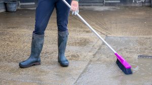 Harold Moore stable and yard broom review