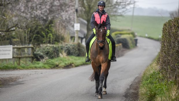 road safety horse riders
