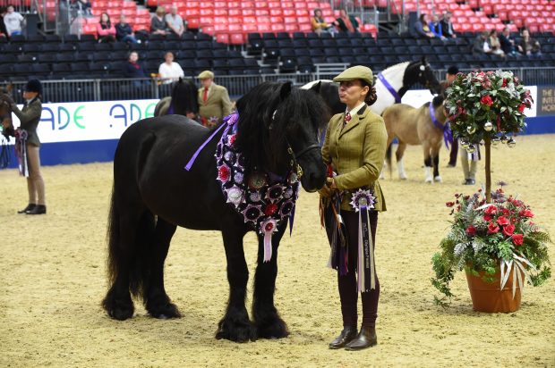 Olympia veteran champions