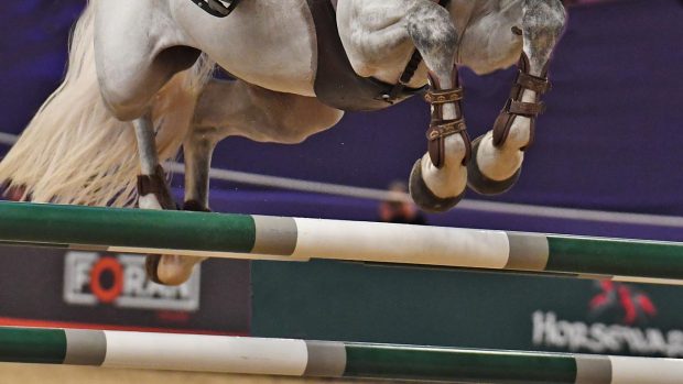 How to watch HOYS on TV