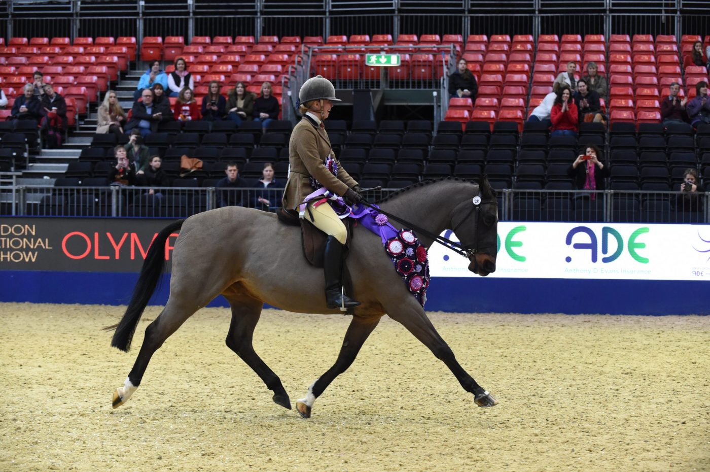 Olympia veteran ridden champion 2015