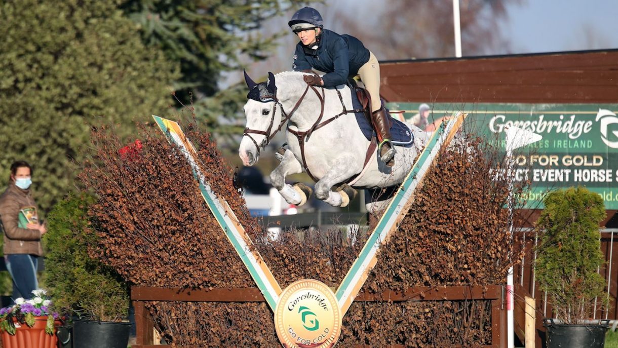 £45,000 top price as sales strong at Goresbridge Horse & Hound