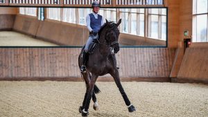 AAA with Laura Tomlinson Rose of Bavaria at her yard; Cranmore Farm, near Tetbury in Gloucestershire in the UK, on the 17th March 2020