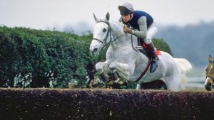 Famous racehorses 1989: Desert Orchid jumps a fence during a race at Sandown Park racecourse in Esher, Surrey, England. Mandatory Credit: Allsport UK /Allsport