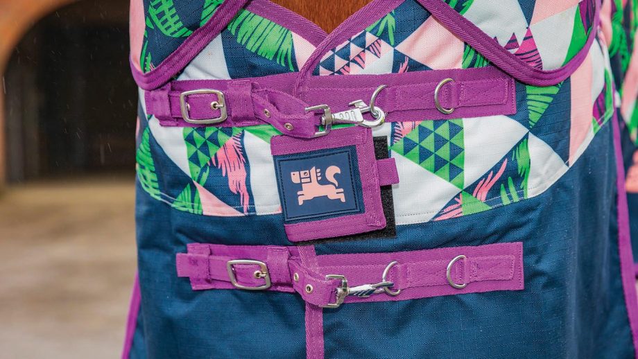 Ponyo 100g turnout rug review