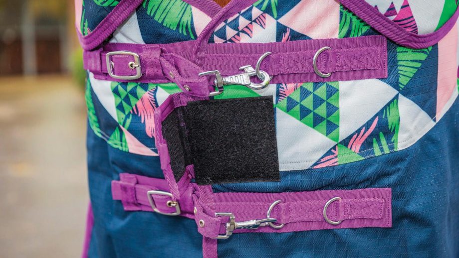 Ponyo 100g turnout rug review