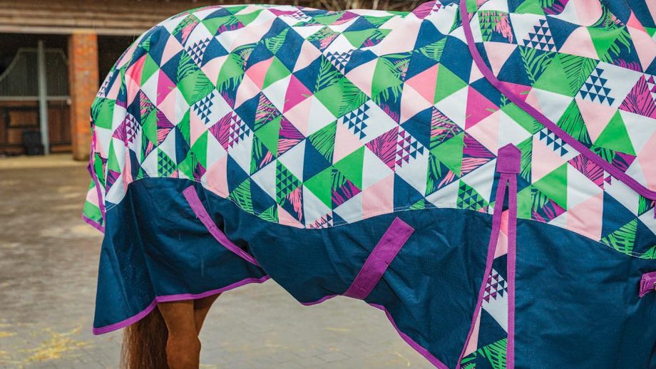 Ponyo 100g turnout rug review