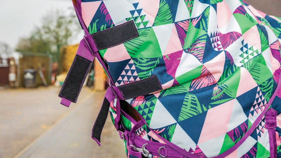 Ponyo 100g turnout rug review