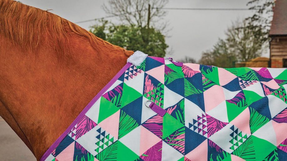 Ponyo 100g turnout rug review