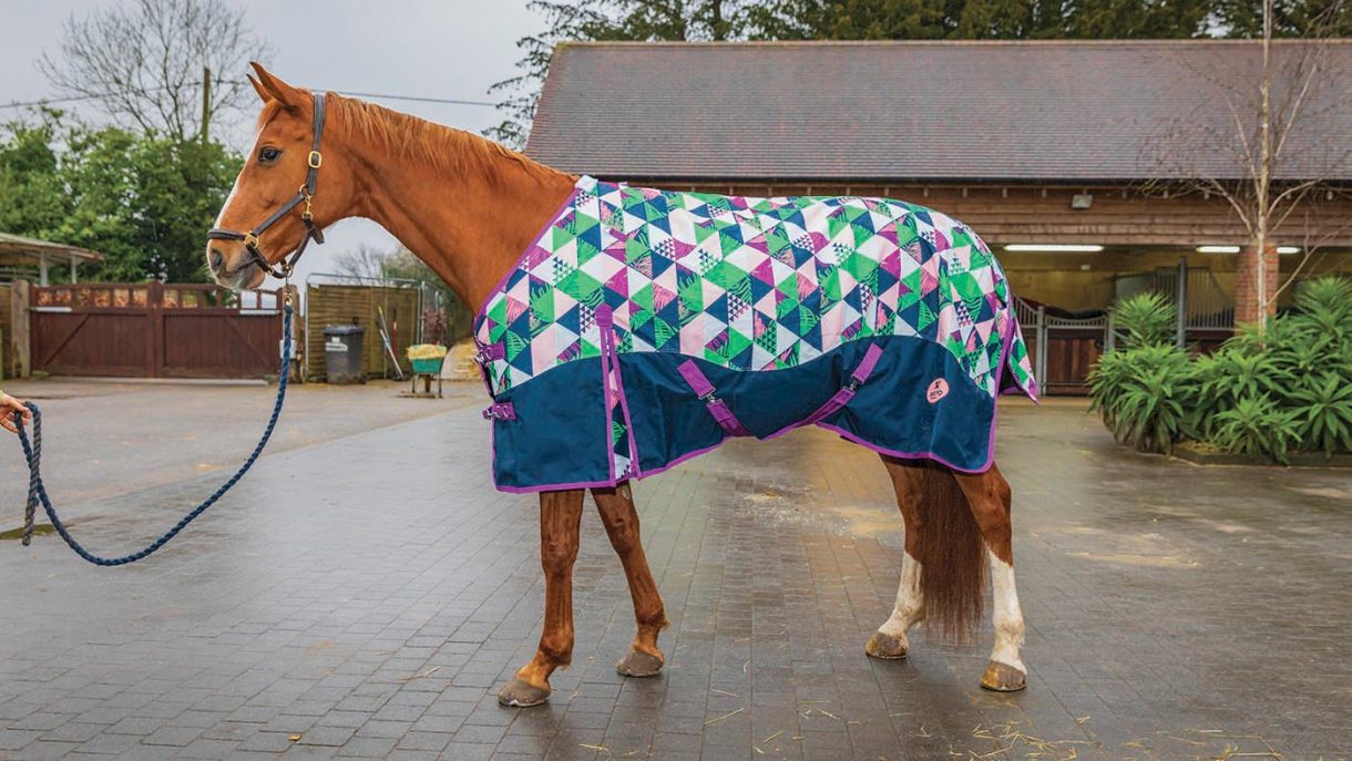 Ponyo 100g turnout rug with detachable neck review Horse & Hound