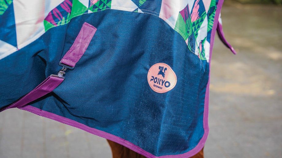 Ponyo 100g turnout rug review